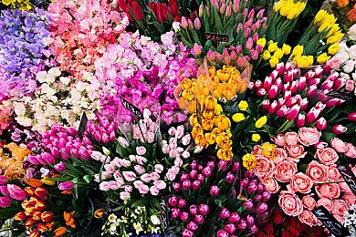 《艾尔登法环：黑夜君临》《失落之魂》发售日撞车